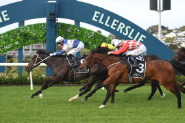 Go Racing | Imperial Empress Winning at Pukekohe