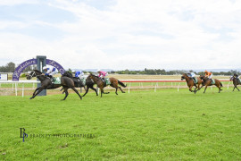 Go Racing | Sting In The Tail Winning at Hawkesbury