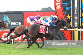 Go Racing | Saveadateforme Winning at Moe