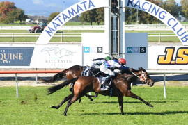 Go Racing | Alacritous Winning at Matamata