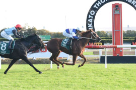 Go Racing | Velocious Winning at Te Rapa