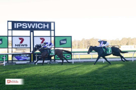 Go Racing | Bitoftheblarney Winning at Ipswich