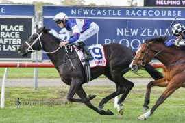Go Racing | Soul of Spain Winning at Newcastle