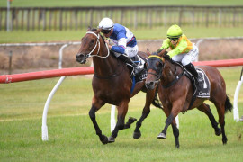 Go Racing | El Arish Winning at Tauranga