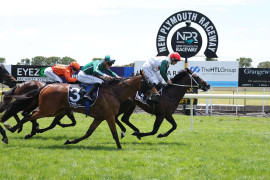 Go Racing | Los Salsero Winning at New Plymouth