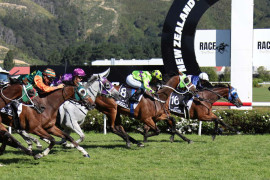 Go Racing | Manzor Blue Winning at Wellington Cup – Trentham