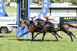 Go Racing | El Arish Winning at Tauranga