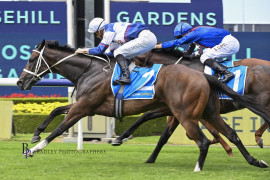 Go Racing | Lord Penman Winning at Rosehill Gardens