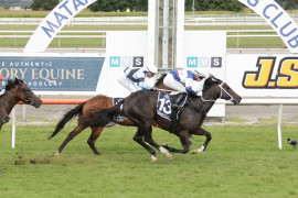 Go Racing | Imperial Empress Winning at Matamata