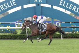 Go Racing | Miss Janet Winning at Ellerslie