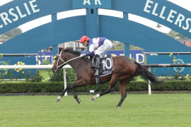 Go Racing | Miss Janet Winning at Ellerslie