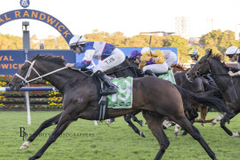 Go Racing | Nobler Winning at Royal Randwick