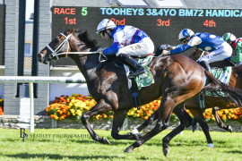 Go Racing | Nobler Winning at Gosford