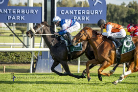 Go Racing | Sting In The Tail Winning at Canterbury Park