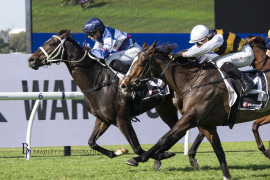 Go Racing | Nobler Winning at Rosehill Gardens