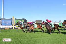 Go Racing | Cigar Man Winning at Gold Coast