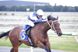 Go Racing | Confectionist Winning at Cambridge