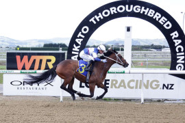 Go Racing | Confectionist Winning at Cambridge