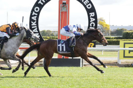 Go Racing | With Grace Winning at Te Rapa