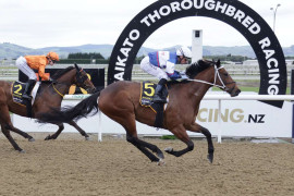 Go Racing | Confectionist Winning at Cambridge