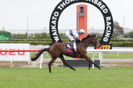 Go Racing | With Grace Winning at Te Rapa