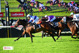 Go Racing | Cigar Man Winning at Eagle Farm