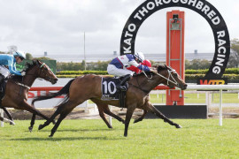 Go Racing | Rose Aye Reign Winning at Te Rapa
