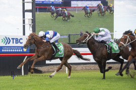 Go Racing | Graffiti Tycoon Winning at Kembla Grange