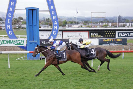 Go Racing | El Arish Winning at Tauranga