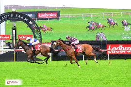 Go Racing | Cigar Man Winning at Eagle Farm