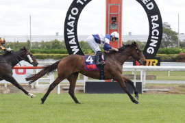 Go Racing | With Grace Winning at Te Rapa