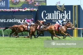 Go Racing | Caulfield-26-Dec-2019.webp Winning at