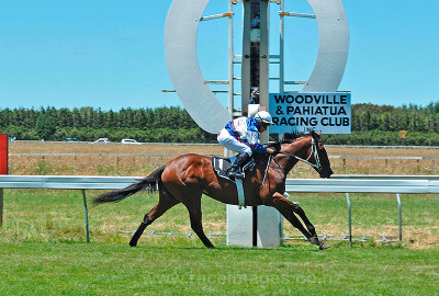 Racehorse Syndication