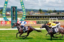 Go Racing | Lucky-Country-win-Tauranga.webp Winning at