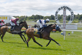 Go Racing | Manzor Blue Winning at Otaki