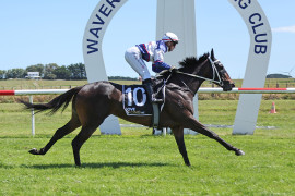 Go Racing | Mazino Winning at Waverley