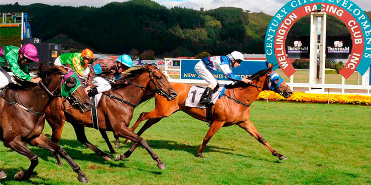Pycok Flyer wins in Wellington