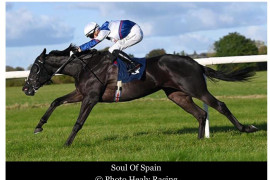 Go Racing | Soul Of Spain Winning at Thurles – Ireland