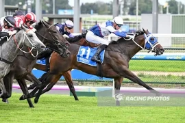 Go Racing | aac_0918.webp Winning at