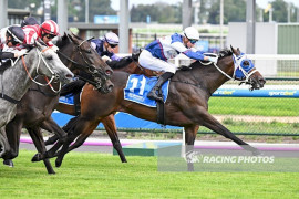 Go Racing | Hallowed Halls Winning at Caulfield