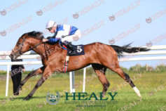 Go Racing | Omni Man Winning at Roscommon