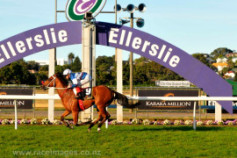 Go Racing | Ruud Awakening Winning at Auckland