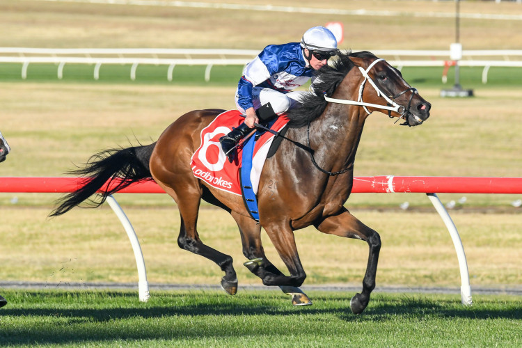 Go Racing keen to expand further into Australia [Go Racing]