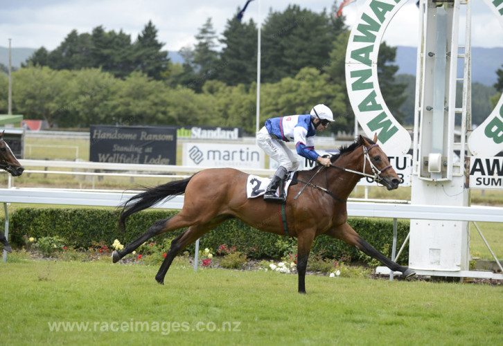 Exciting gallopers kick off their season