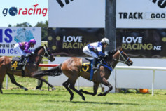 Go Racing | Diss Is Dramatic Winning at Tauherenikau