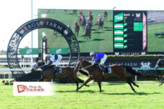 Go Racing | Khaalis Winning at Eagle Farm