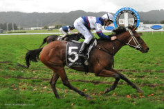 Go Racing | North and South Winning at Wellington