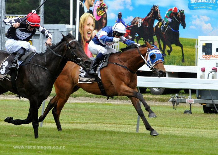 Solomon reset for richest handicap mile