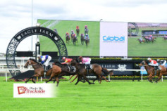 Go Racing | Otyrar Winning at Eagle Farm