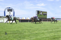 Go Racing | Saveadateforme Winning at Kembla Grange